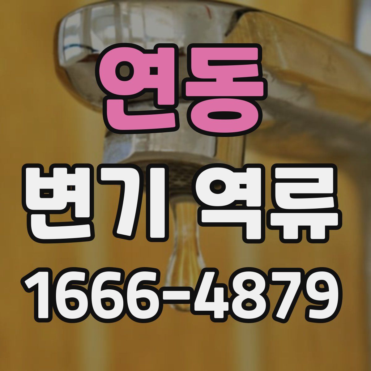 연동 변기 역류