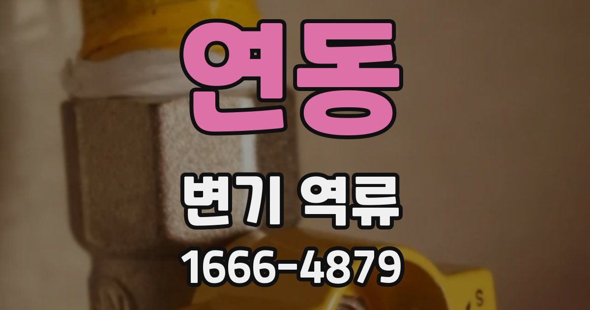 연동 변기 역류