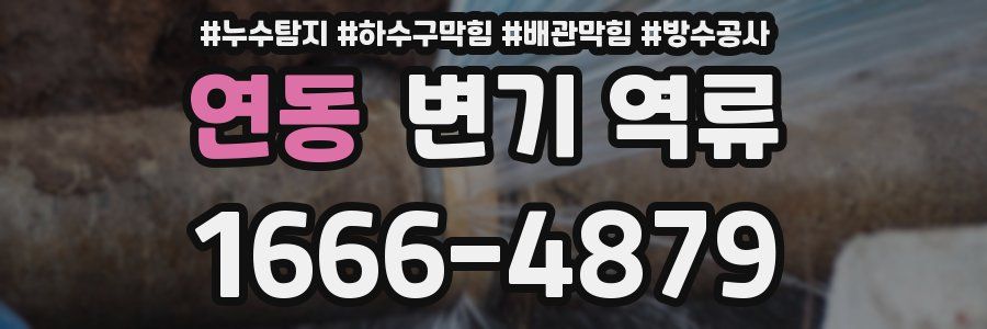 연동 변기 역류