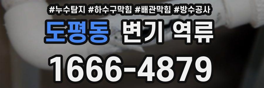 도평동 변기 역류