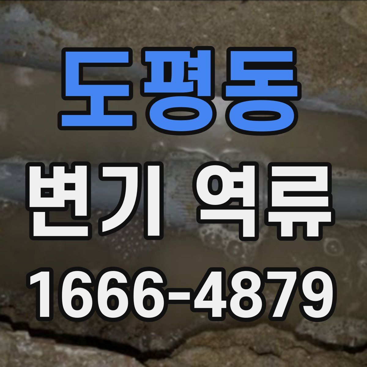도평동 변기 역류