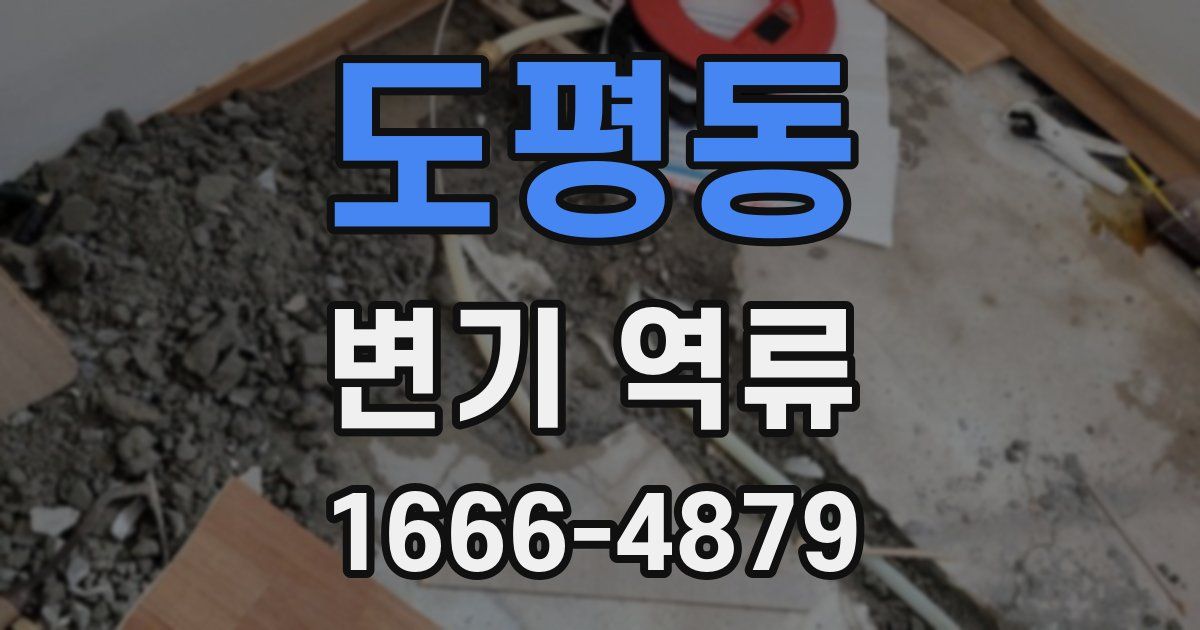 도평동 변기 역류