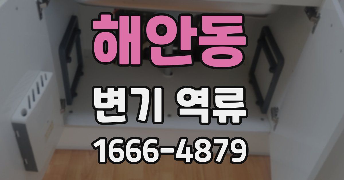 해안동 변기 역류