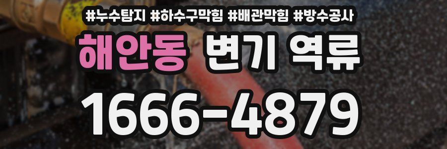해안동 변기 역류
