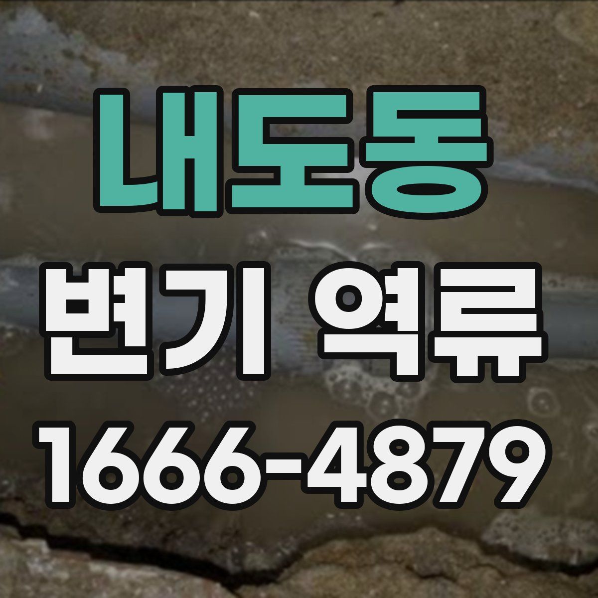 내도동 변기 역류