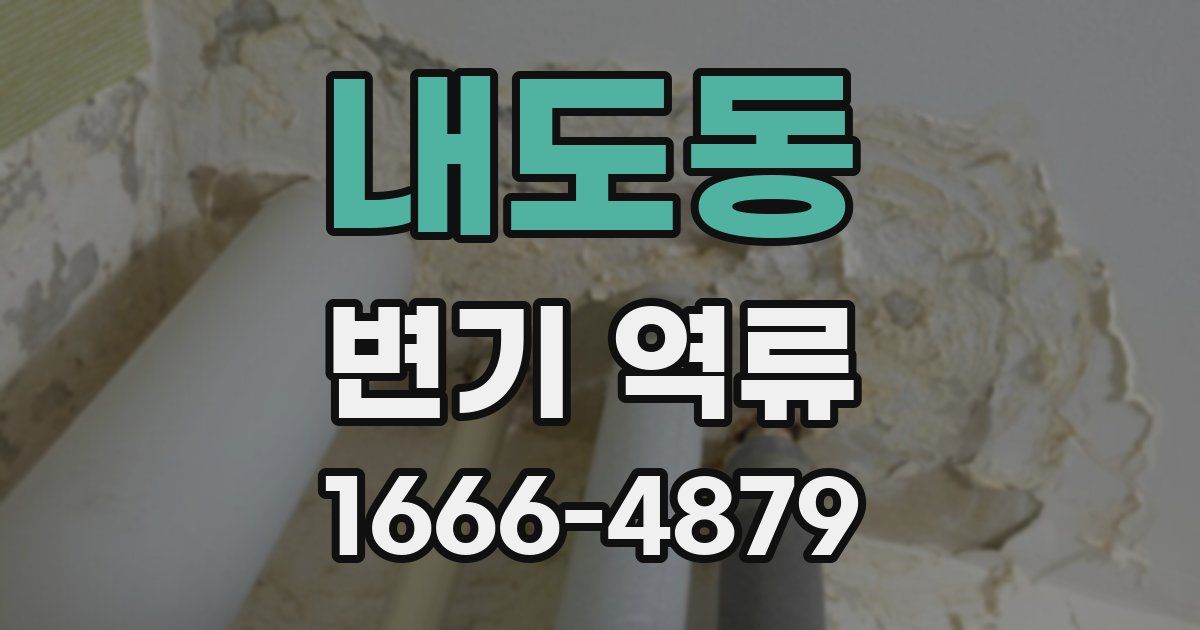 내도동 변기 역류