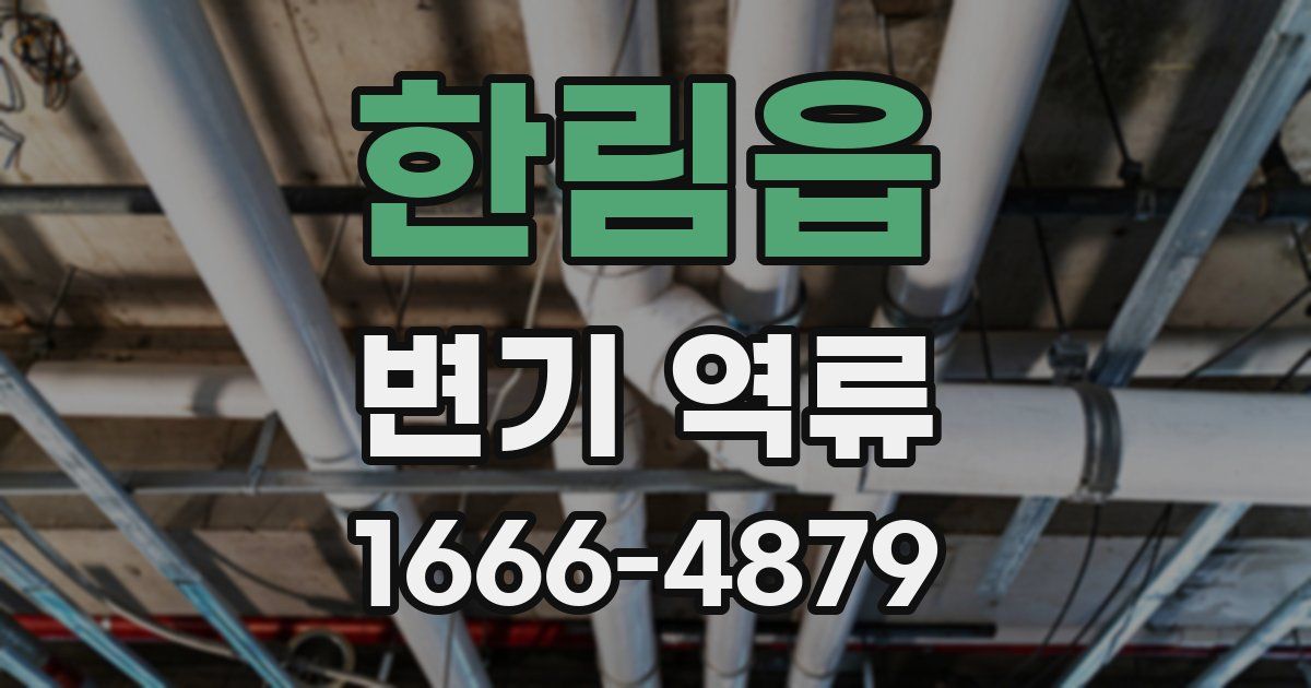 한림읍 변기 역류