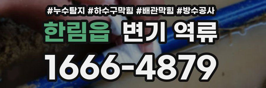 한림읍 변기 역류