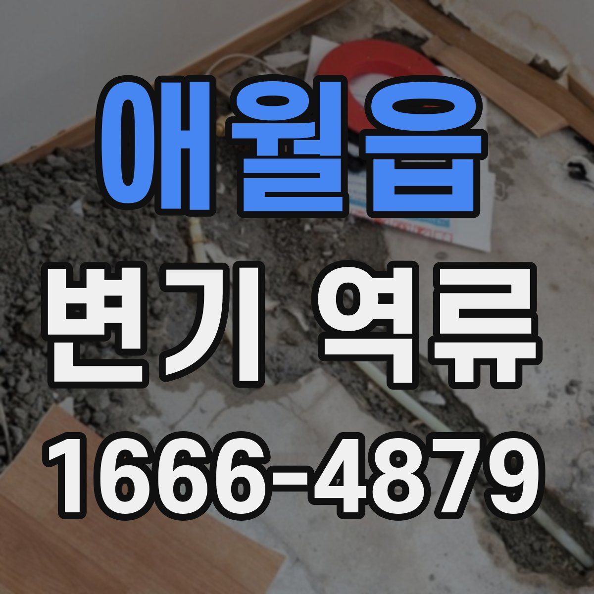 애월읍 변기 역류