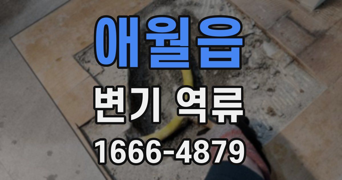 애월읍 변기 역류