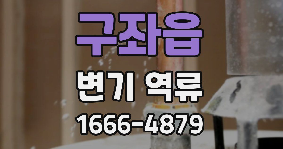구좌읍 변기 역류