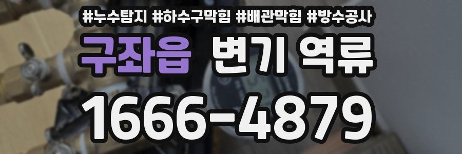 구좌읍 변기 역류