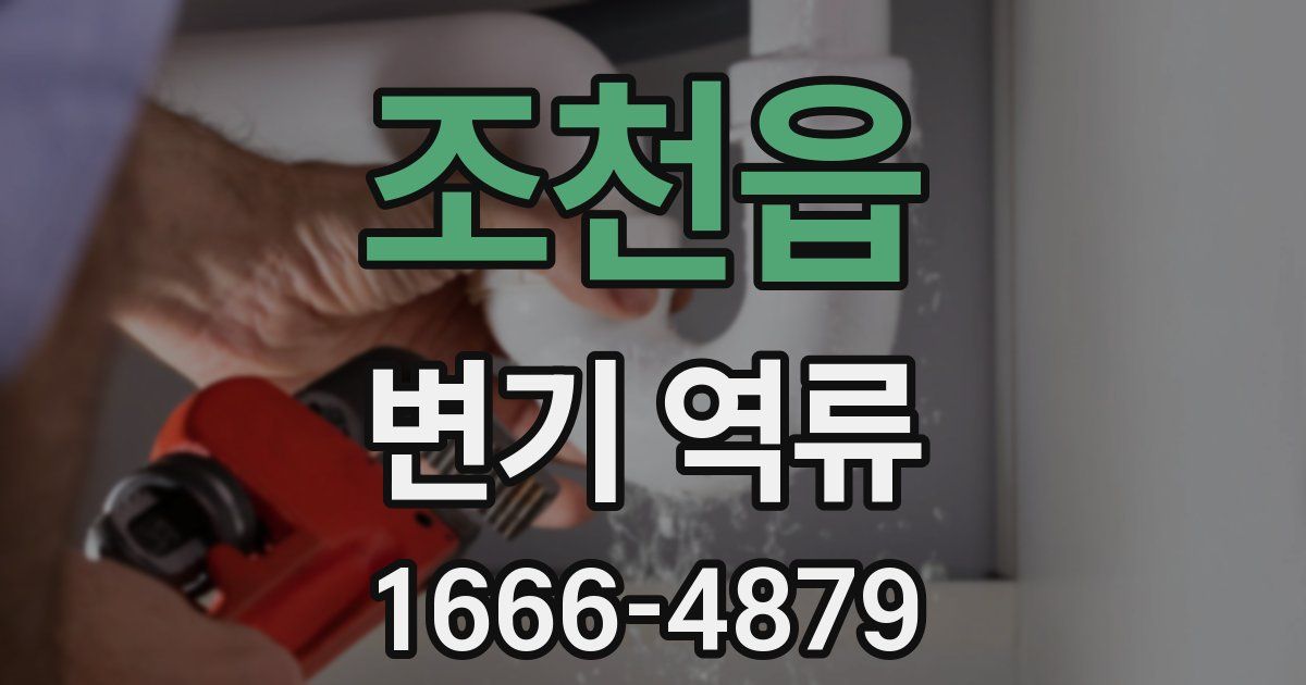 조천읍 변기 역류