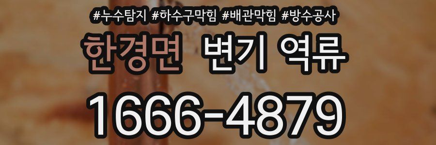 한경면 변기 역류