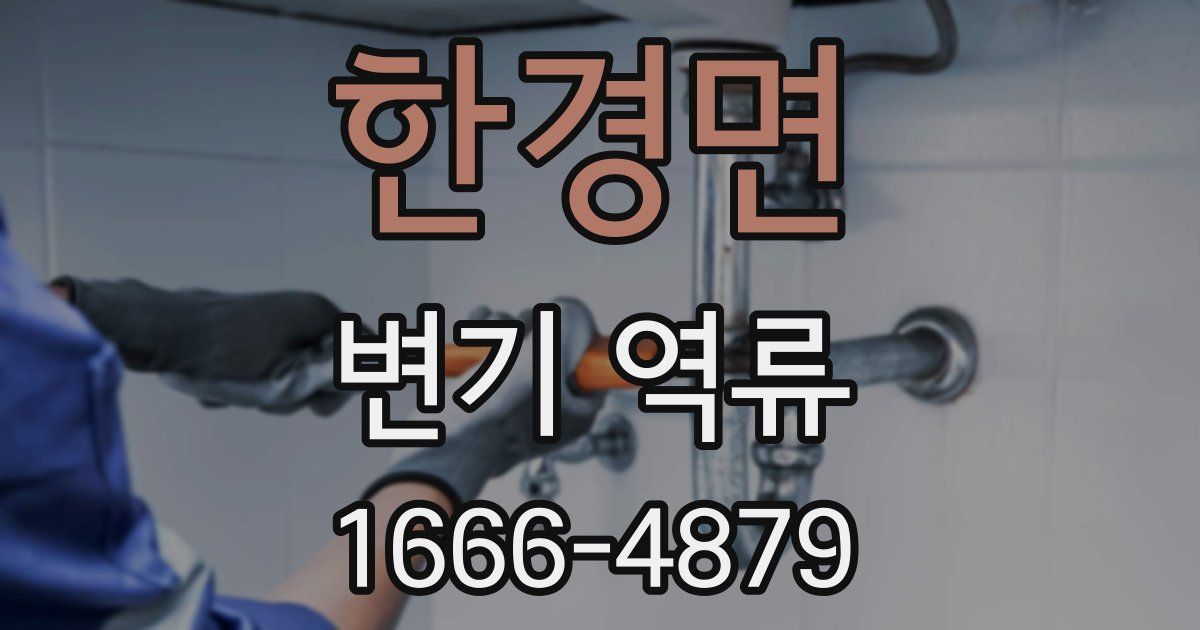 한경면 변기 역류