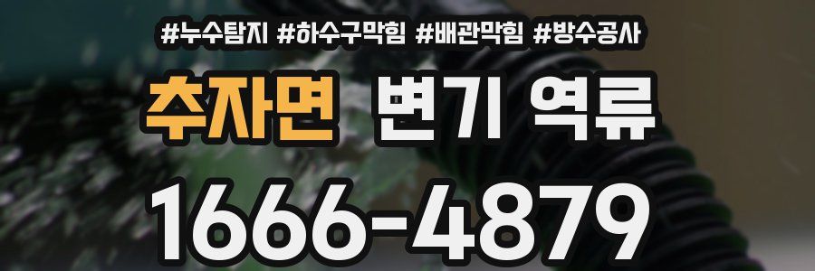 추자면 변기 역류