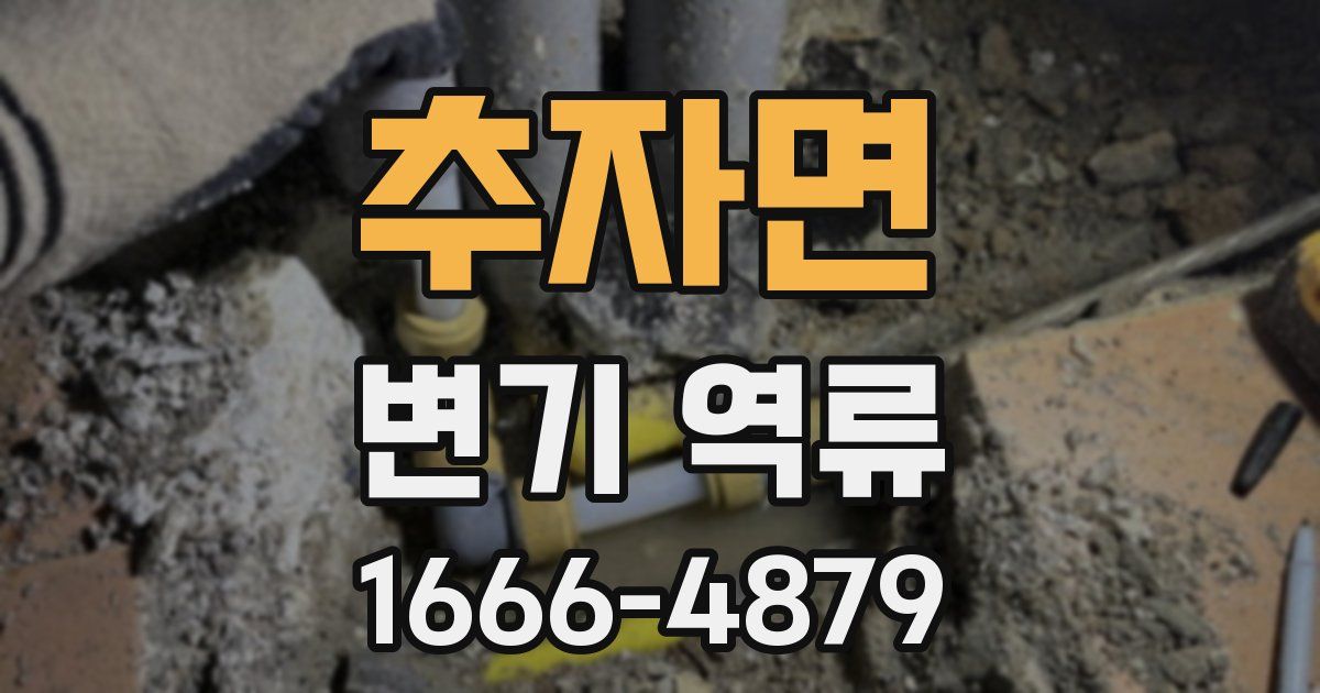 추자면 변기 역류