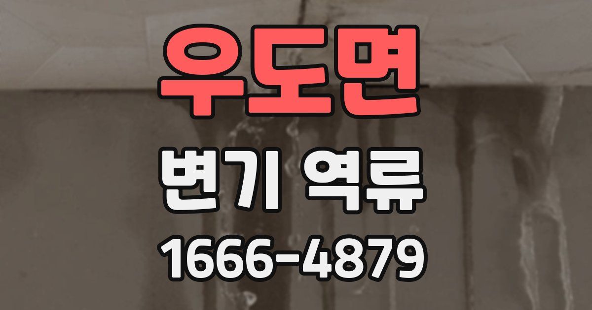 우도면 변기 역류