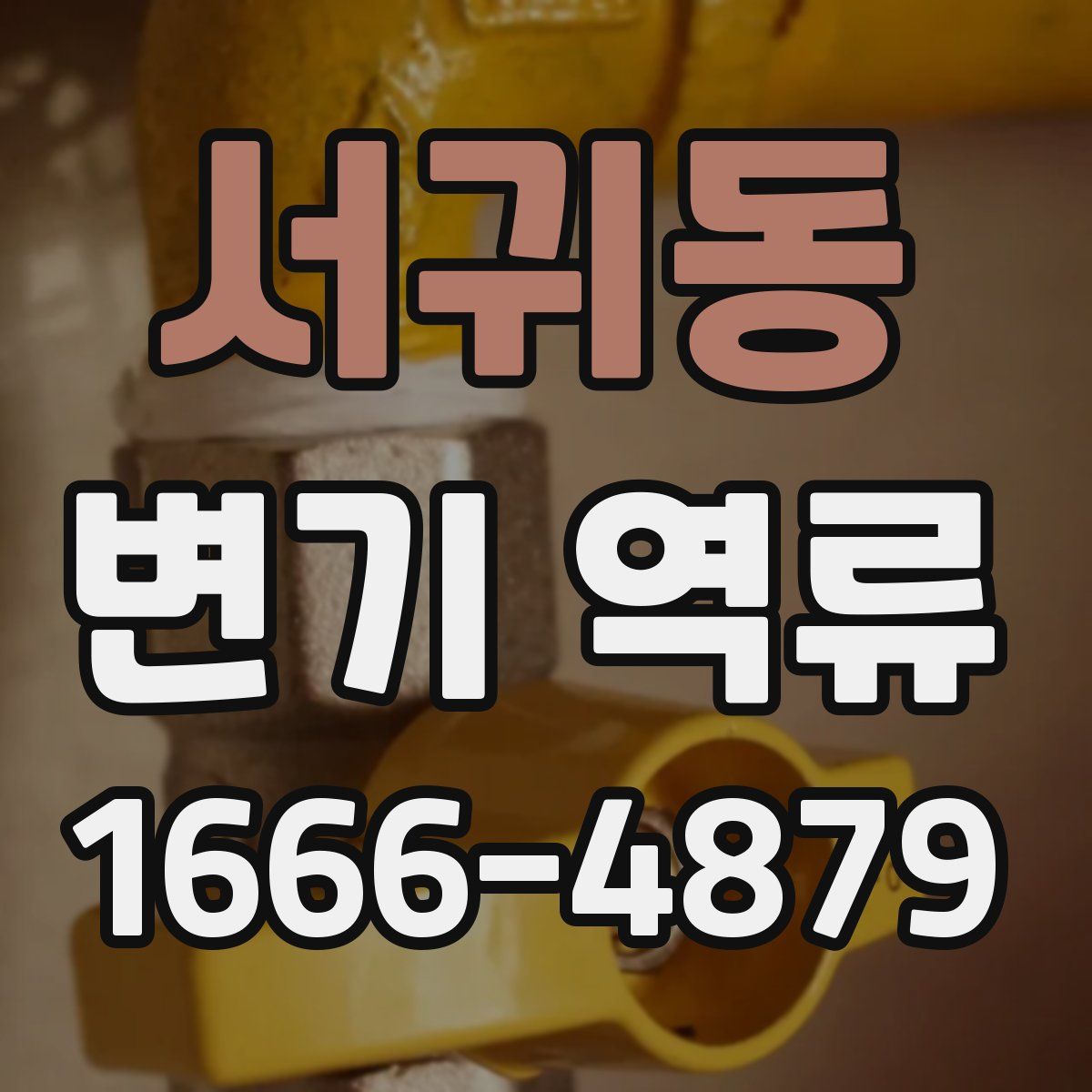 서귀동 변기 역류