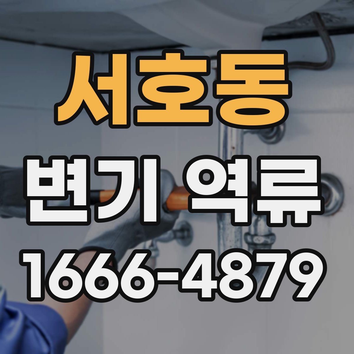 서호동 변기 역류