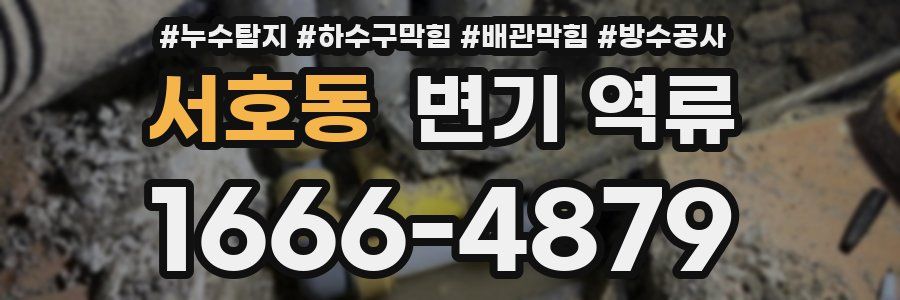 서호동 변기 역류