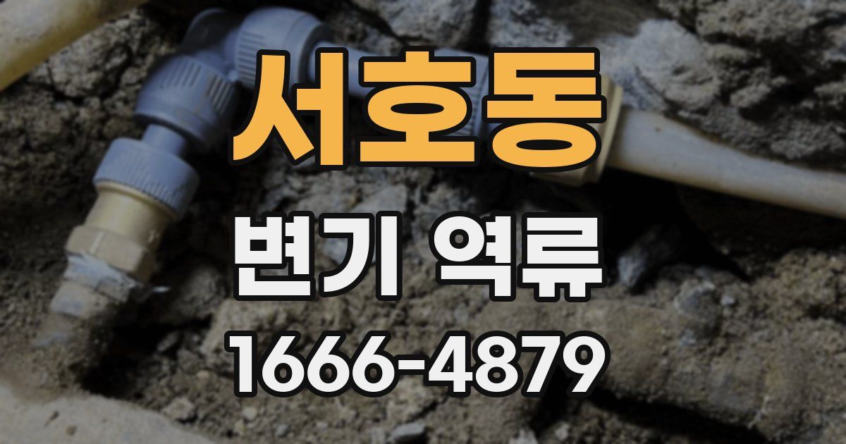 서호동 변기 역류