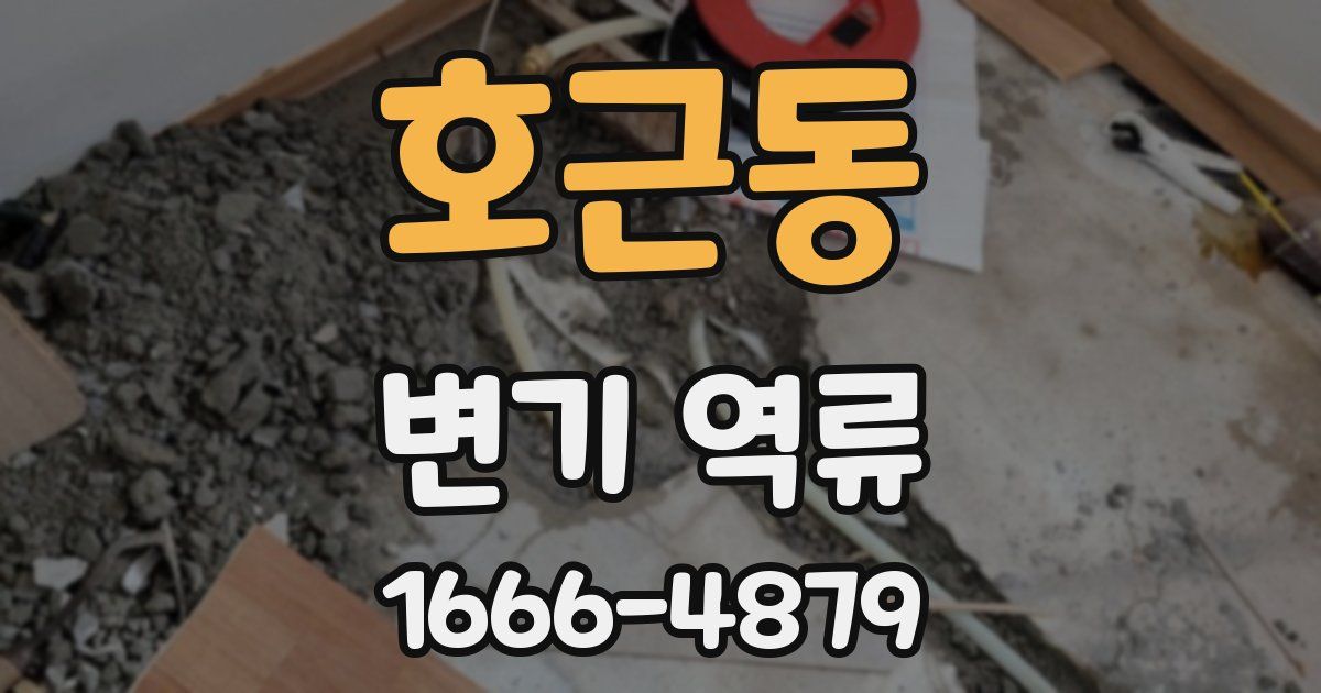 호근동 변기 역류