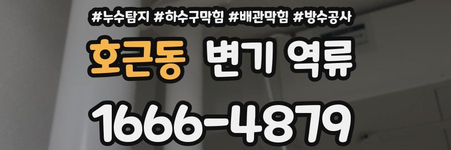 호근동 변기 역류