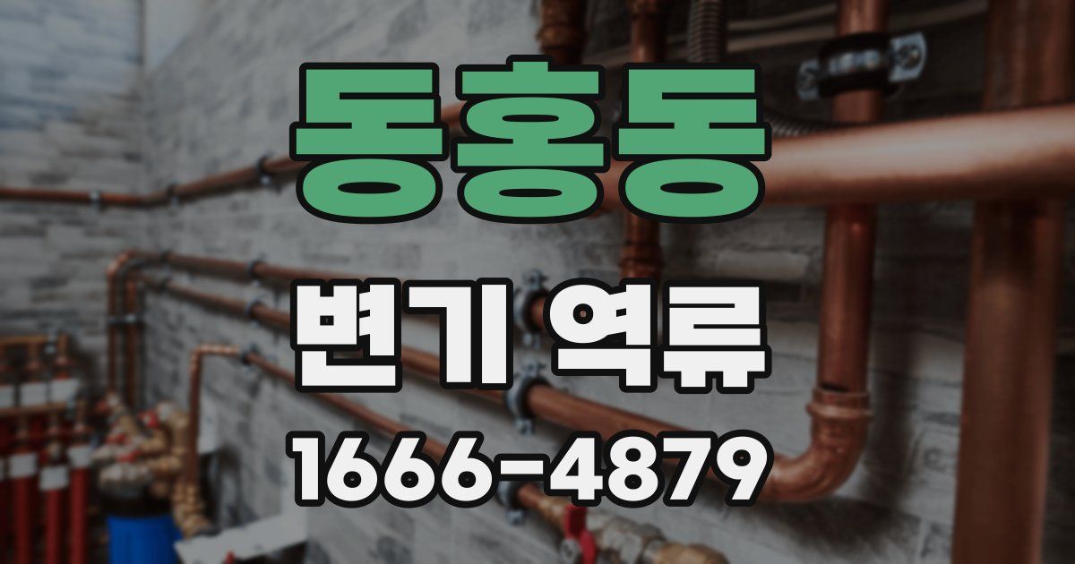 동홍동 변기 역류