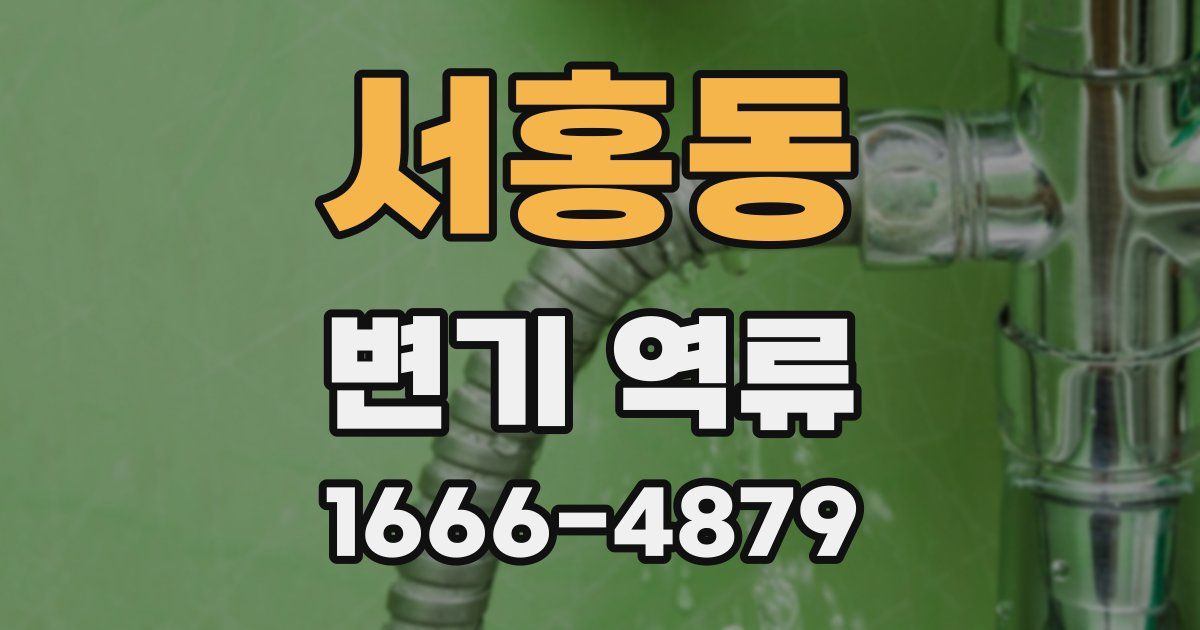 서홍동 변기 역류