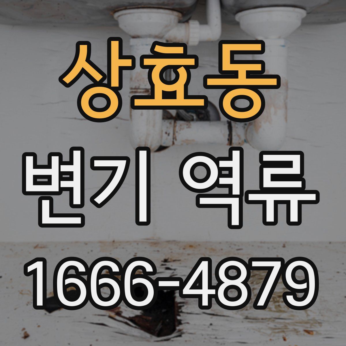 상효동 변기 역류