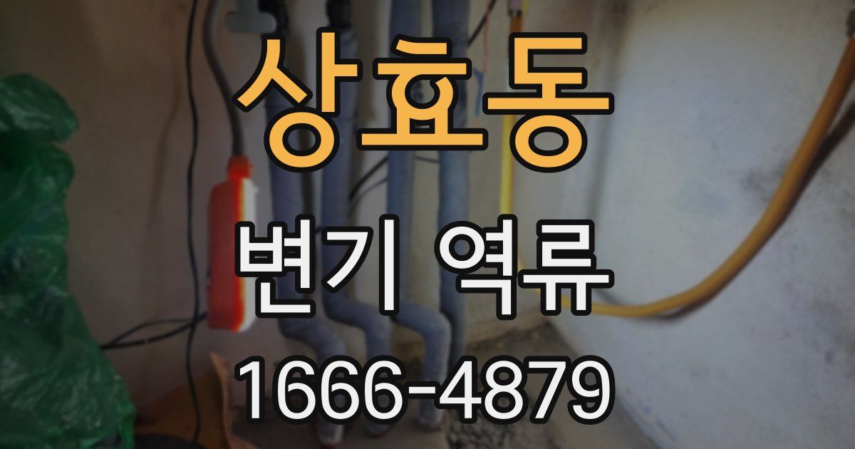 상효동 변기 역류