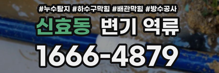신효동 변기 역류
