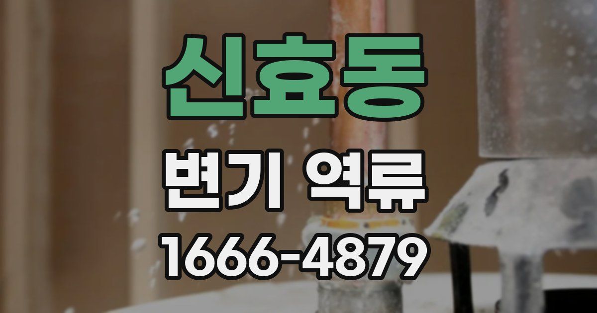 신효동 변기 역류