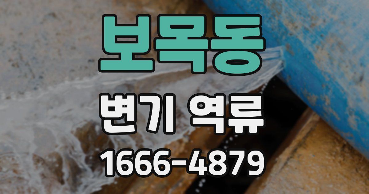 보목동 변기 역류