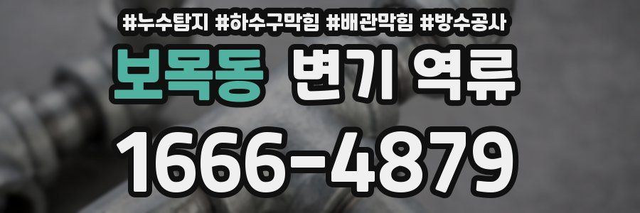 보목동 변기 역류