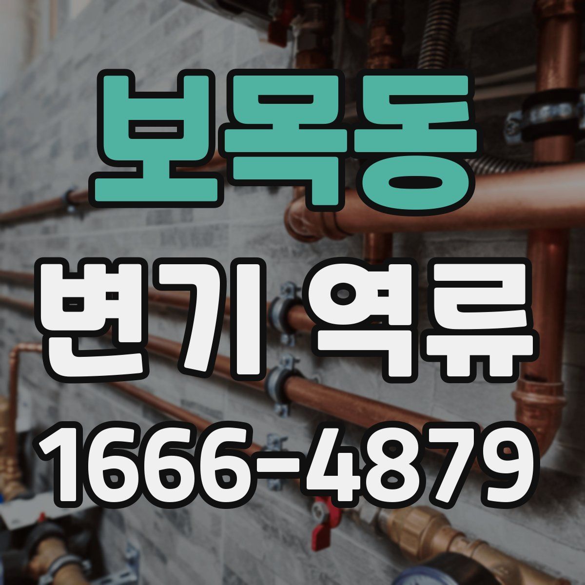 보목동 변기 역류