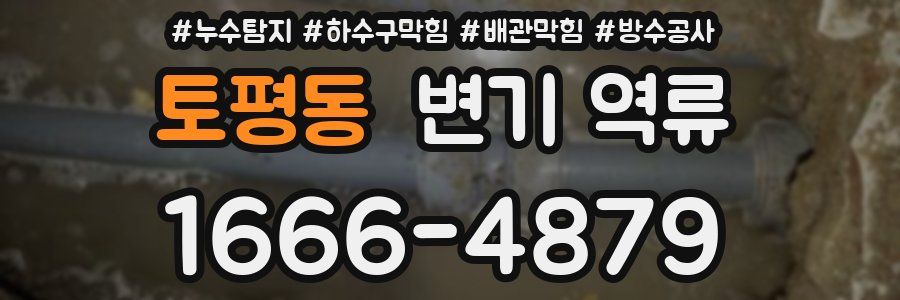 토평동 변기 역류