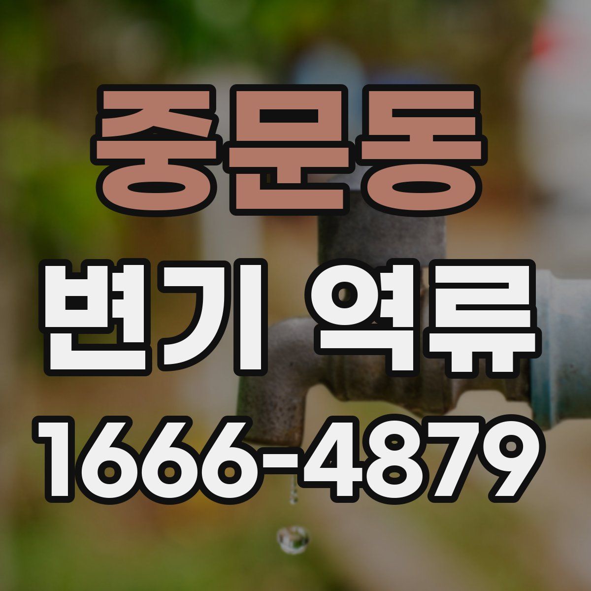중문동 변기 역류