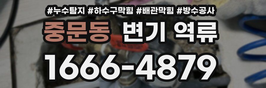 중문동 변기 역류