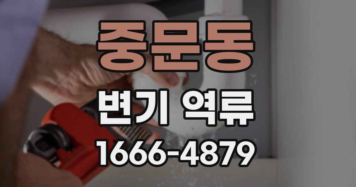 중문동 변기 역류