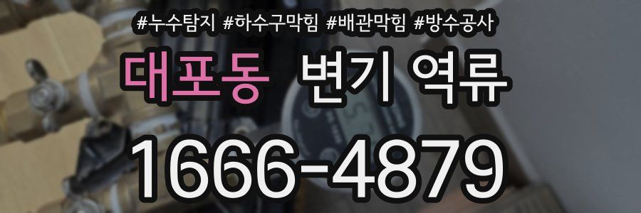 대포동 변기 역류