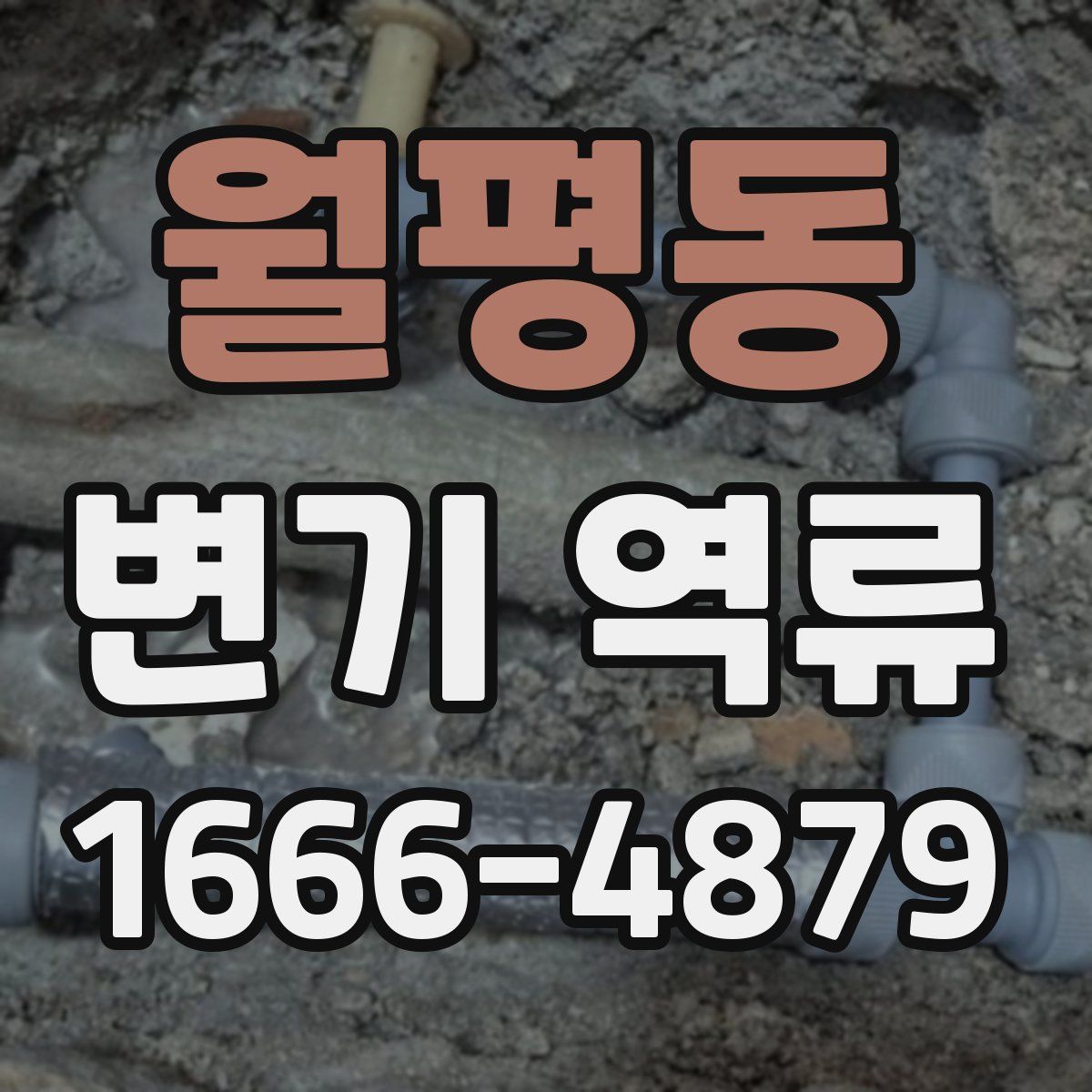 월평동 변기 역류
