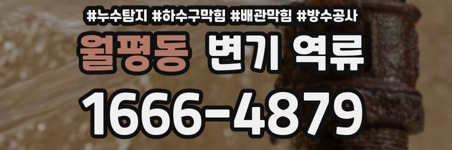 월평동 변기 역류