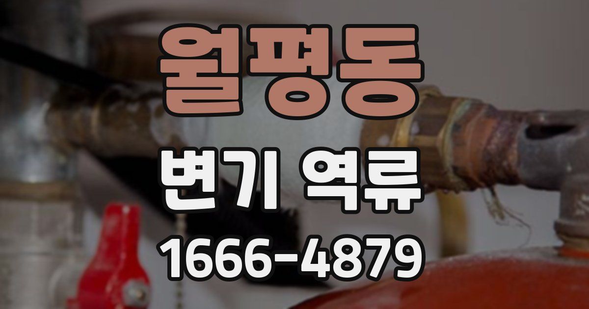 월평동 변기 역류
