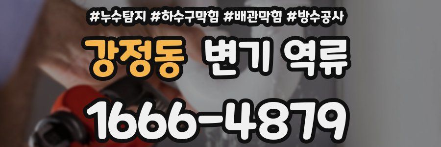 강정동 변기 역류