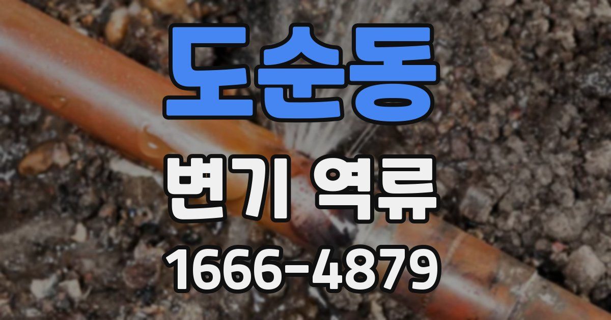 도순동 변기 역류