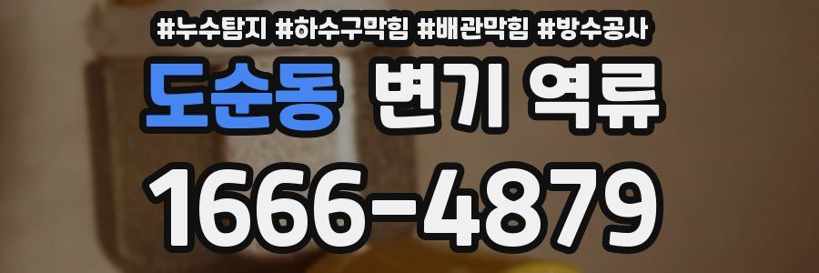 도순동 변기 역류