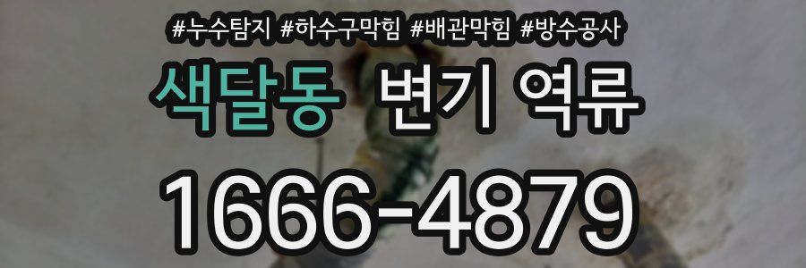 색달동 변기 역류