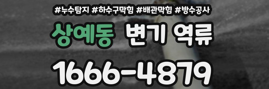 상예동 변기 역류